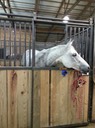 20140920_142746