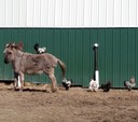 20150327_112127