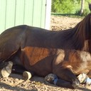 CharlieHoof1
