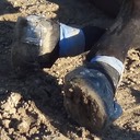 Charliehoof2