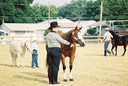 ChevezCompetes2006