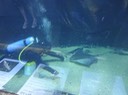 DSC00100