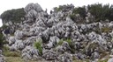DSC01219