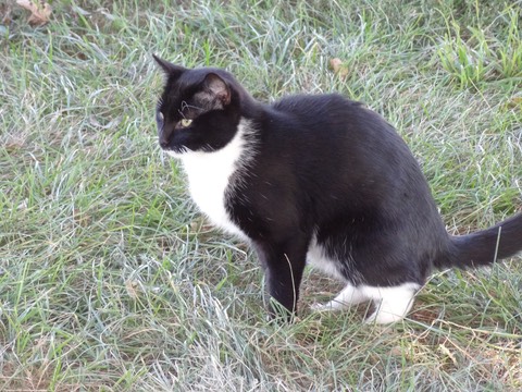 DSC02814
