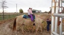 DSC04349