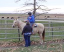 DSC04355 - Version 2