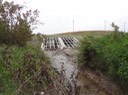 DSC06568
