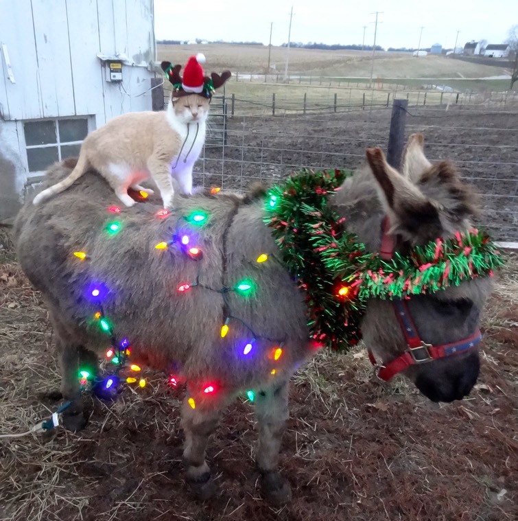 DSC06912 - Version 2