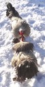 DSC07006 - Version 2
