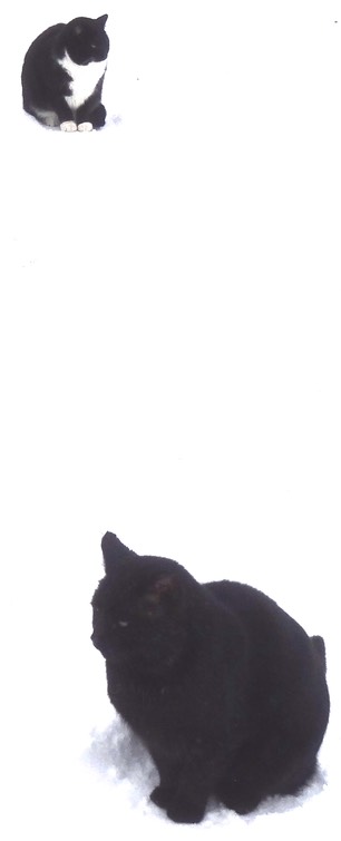 DSC07062