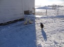 DSC07097