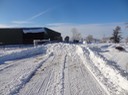 DSC07098