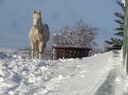 DSC07105