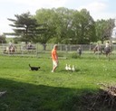 DSC07555