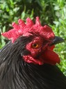 DSC07749