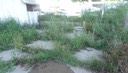 DSC08122