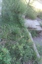 DSC08124
