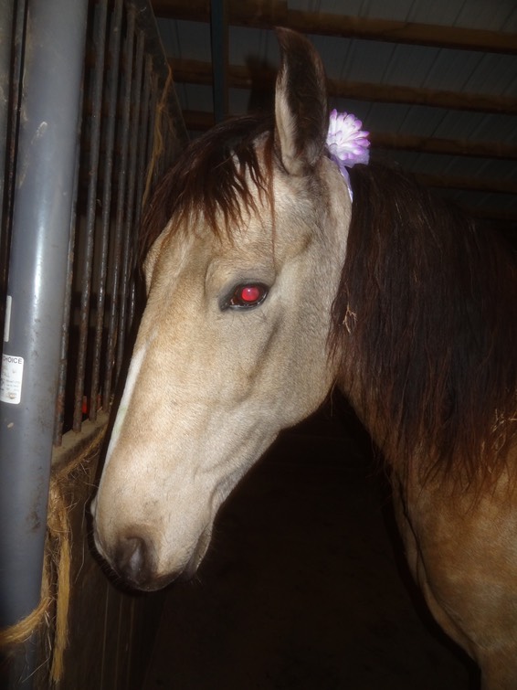 DSC08350