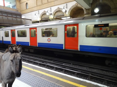EnglandPic5