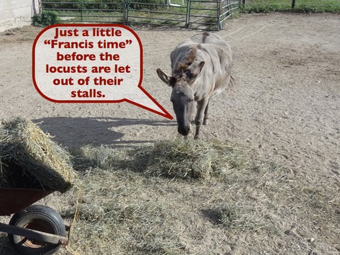 FrancisKeynote1.001