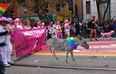 IMG_0014