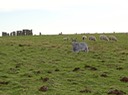 IMG_0018