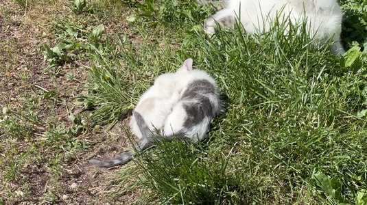 img_1612