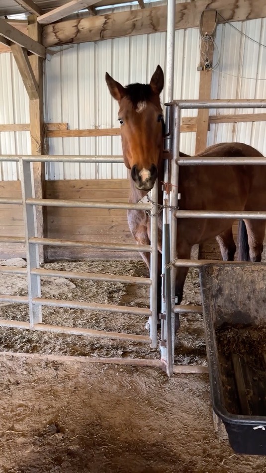 img_4376