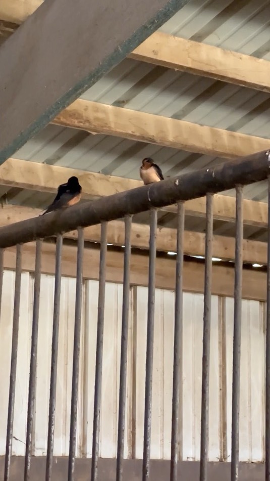 img_4625
