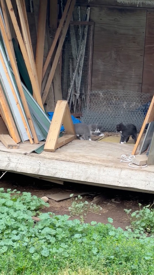 img_8442