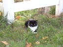 NewCat24