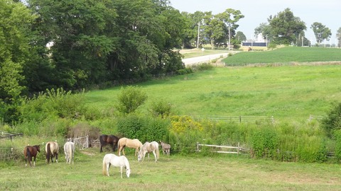 Pastureofflimits