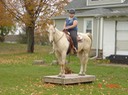 RCpodium