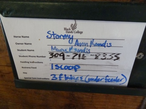 StormySchool13