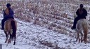 thumb_DSC00207_1024 2