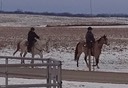 thumb_DSC00211_1024 2