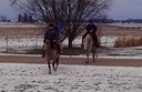 thumb_DSC00215_1024