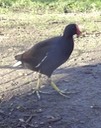 thumb_DSC00487_1024