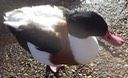thumb_DSC00498_1024