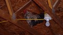 thumb_DSC00608_1024